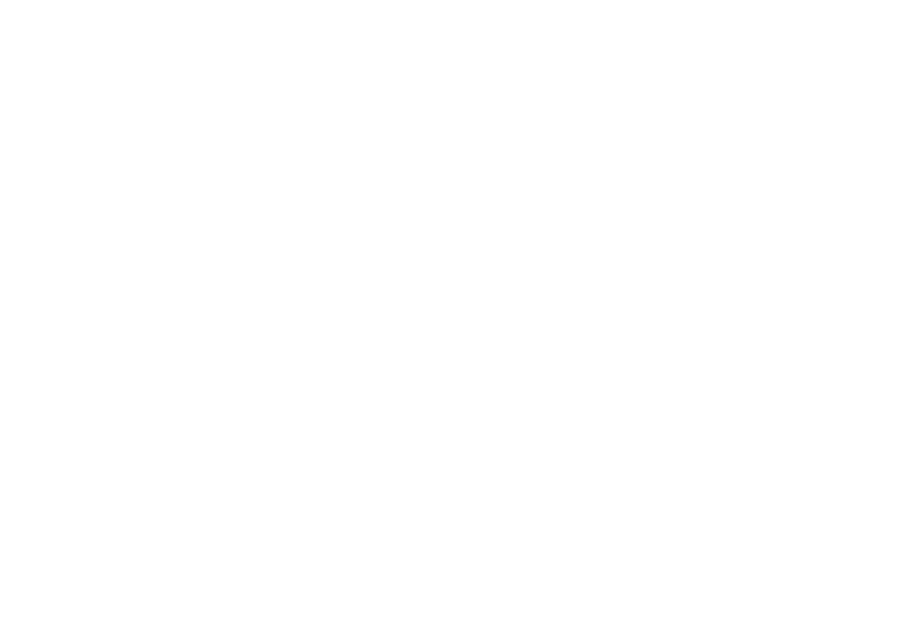 logo banane chic blanc | sacs banane et sacoches